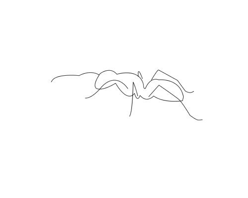 Creation of She(Ant) Loves Me(Flower) :): Step 1