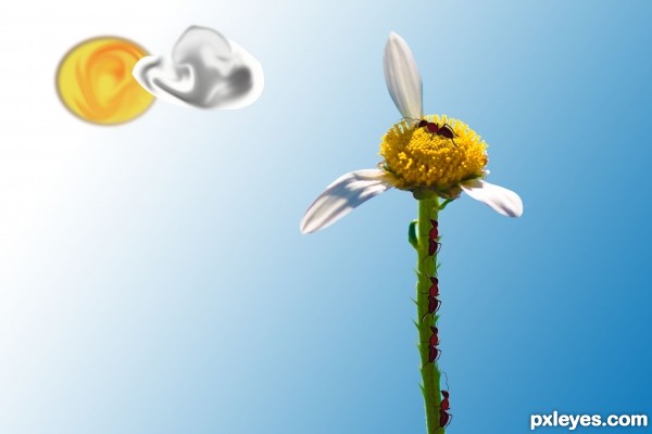 Creation of She(Ant) Loves Me(Flower) :): Step 7