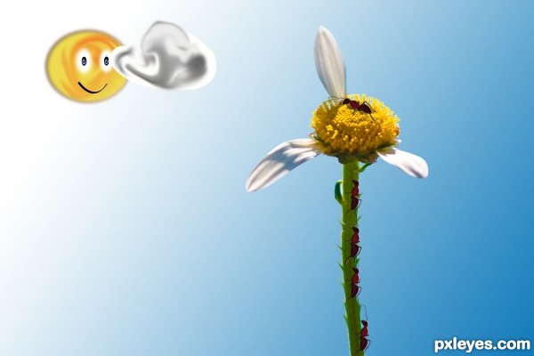 Creation of She(Ant) Loves Me(Flower) :): Step 8