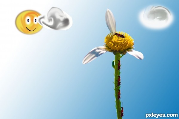 Creation of She(Ant) Loves Me(Flower) :): Step 9