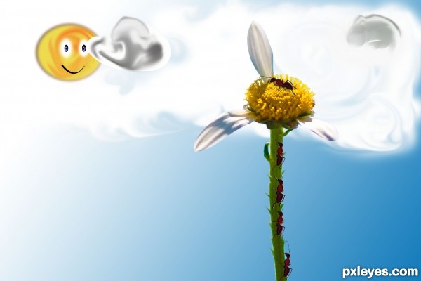Creation of She(Ant) Loves Me(Flower) :): Step 10