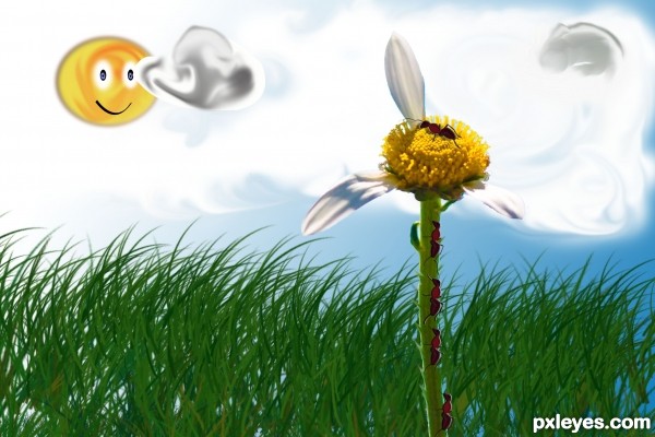 Creation of She(Ant) Loves Me(Flower) :): Step 11