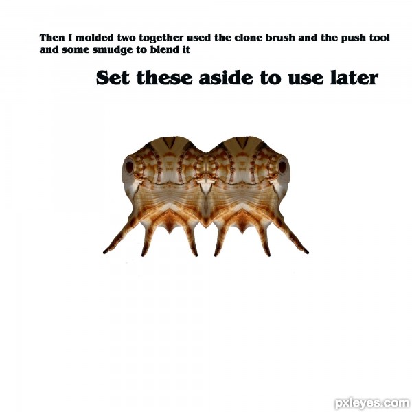 Creation of What's That Creature ?: Step 3