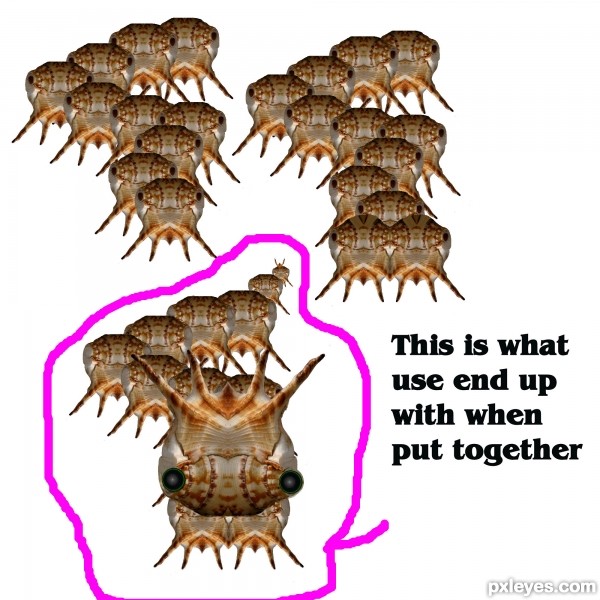 Creation of What's That Creature ?: Step 4