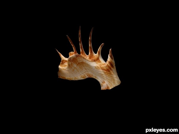 Creation of Shell Creature: Step 5