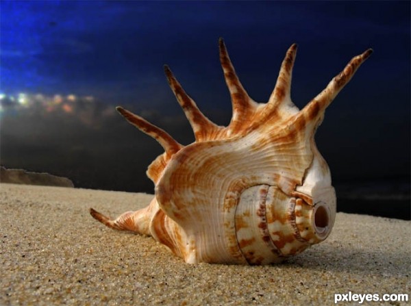 Creation of Shell Lady: Step 1