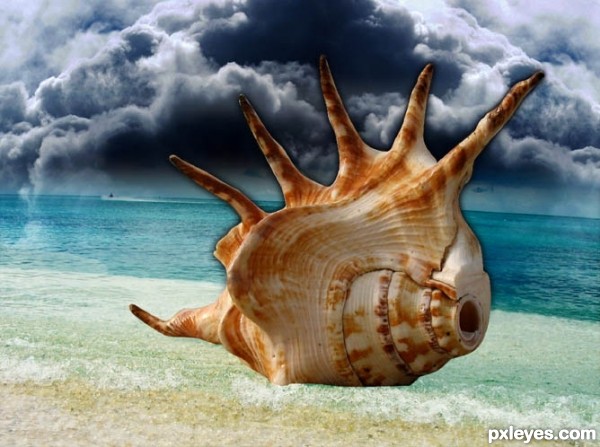 Creation of Shell Lady: Step 3