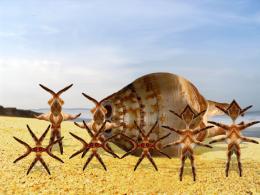 They came from down under sea