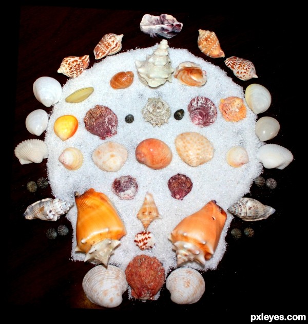 SEASHELLS ON A SEASHELL