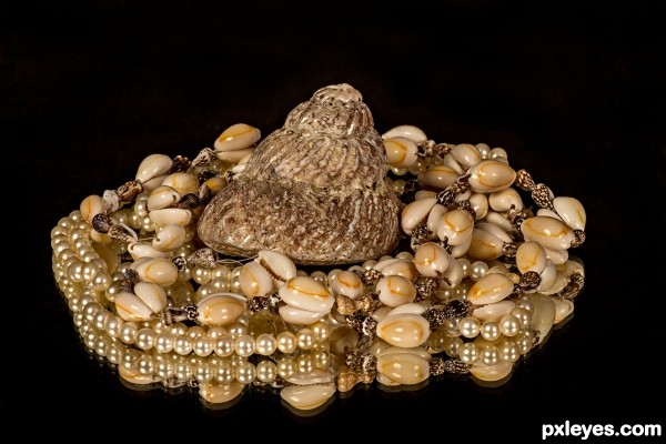 shells and pearls