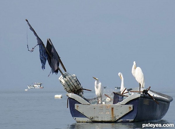 SHIPS AND BOATS 2