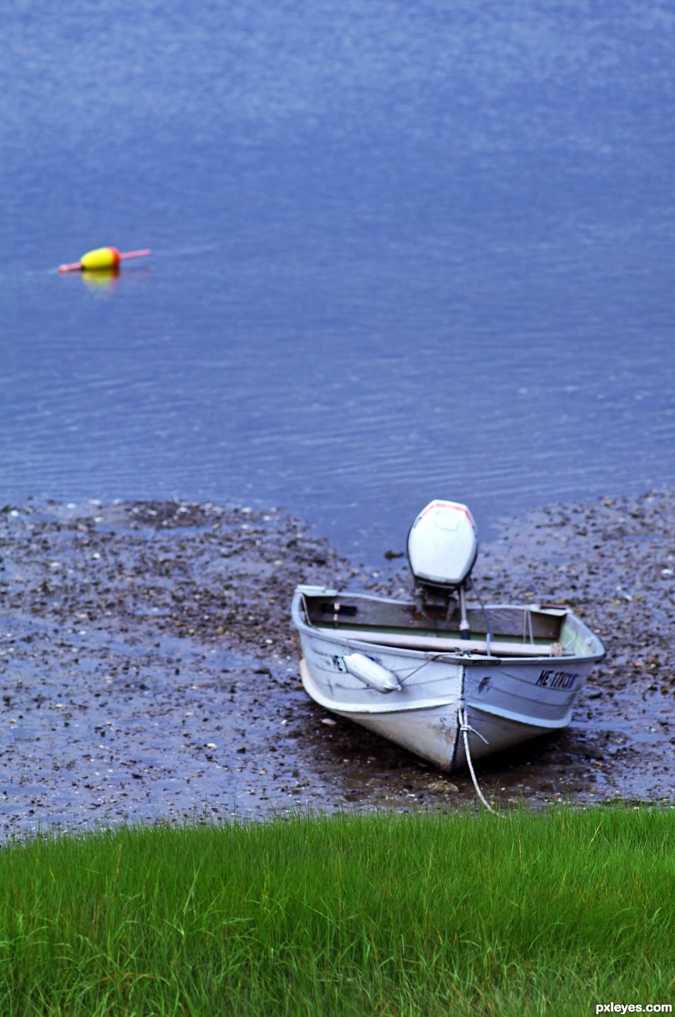 Low Tide