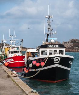 Fishing boats