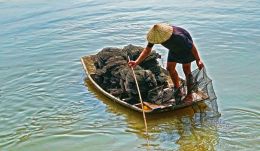 Working Skiff