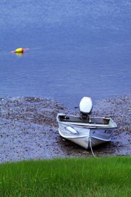 Low Tide