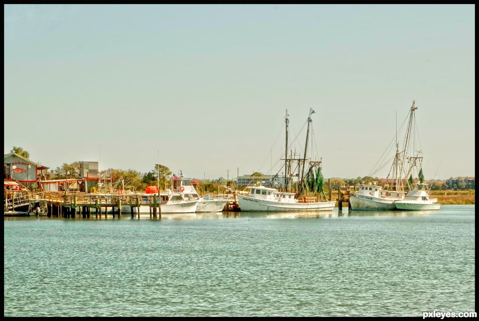 Shrimpers