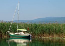 Green Boat