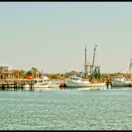 Shrimpers