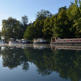 Morningonthecanal