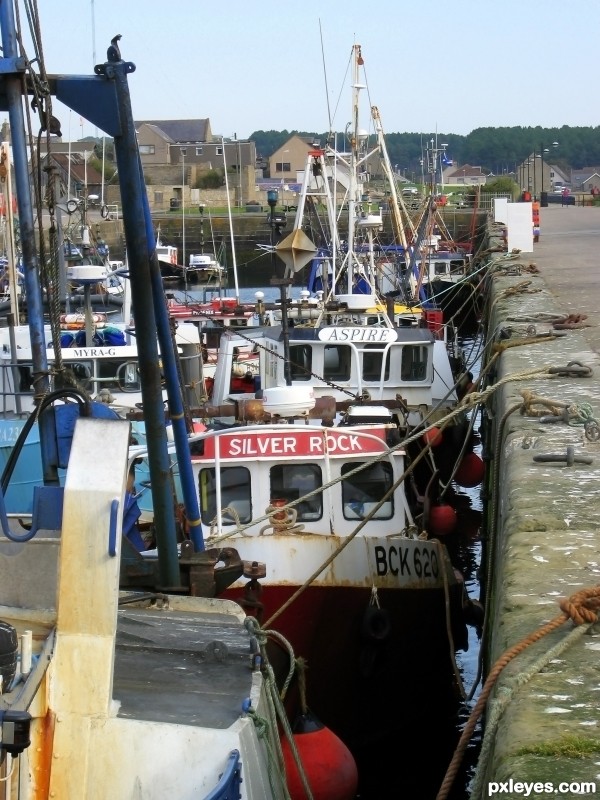 Fishing Boats