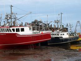 Red And Black Boats