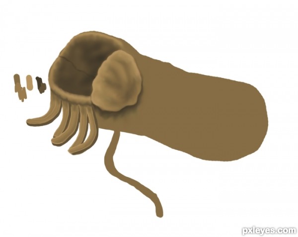 Creation of Moccasin: Step 2
