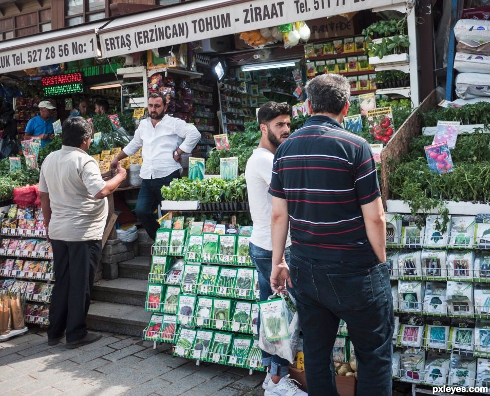 Going green in the city