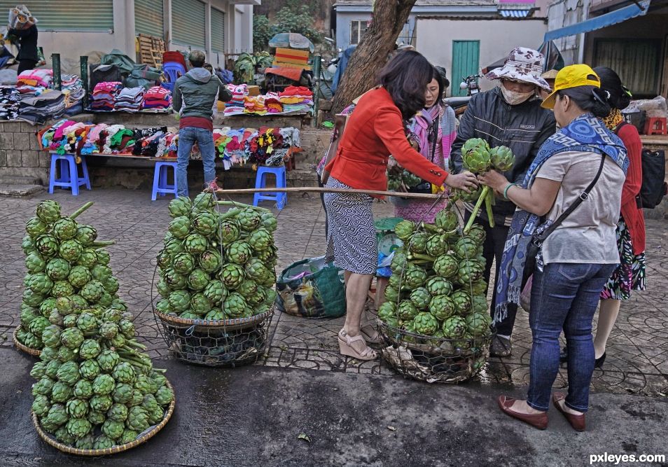 Artichoke Debate