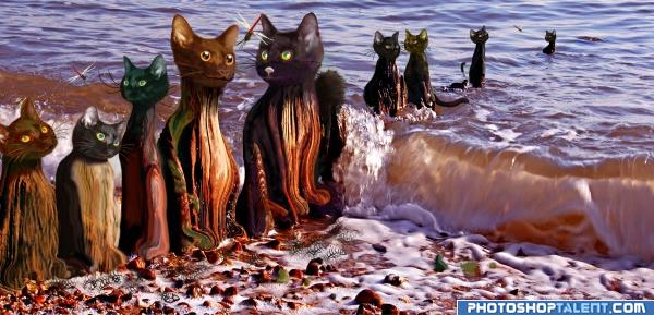 Creation of Shore Cats, Keeping the Watch: Final Result