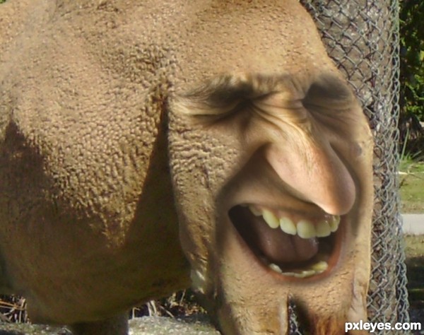 Creation of Butt Head: Step 4