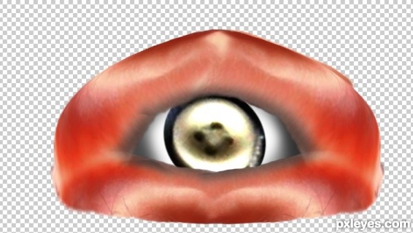 Creation of This is MY HOME!: Step 6