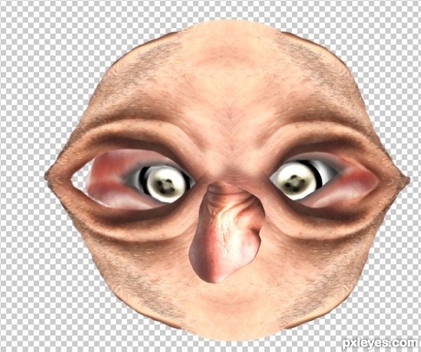 Creation of This is MY HOME!: Step 11