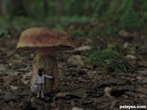 Girl under the Mushroom