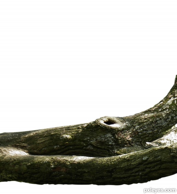 Creation of A Dangerous Life: Step 1