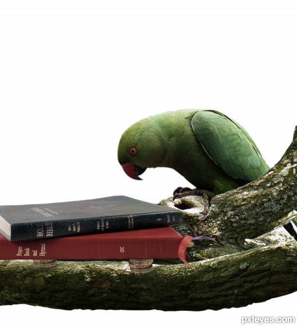 Creation of A Dangerous Life: Step 3