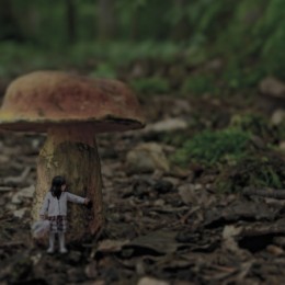 Girl under the Mushroom