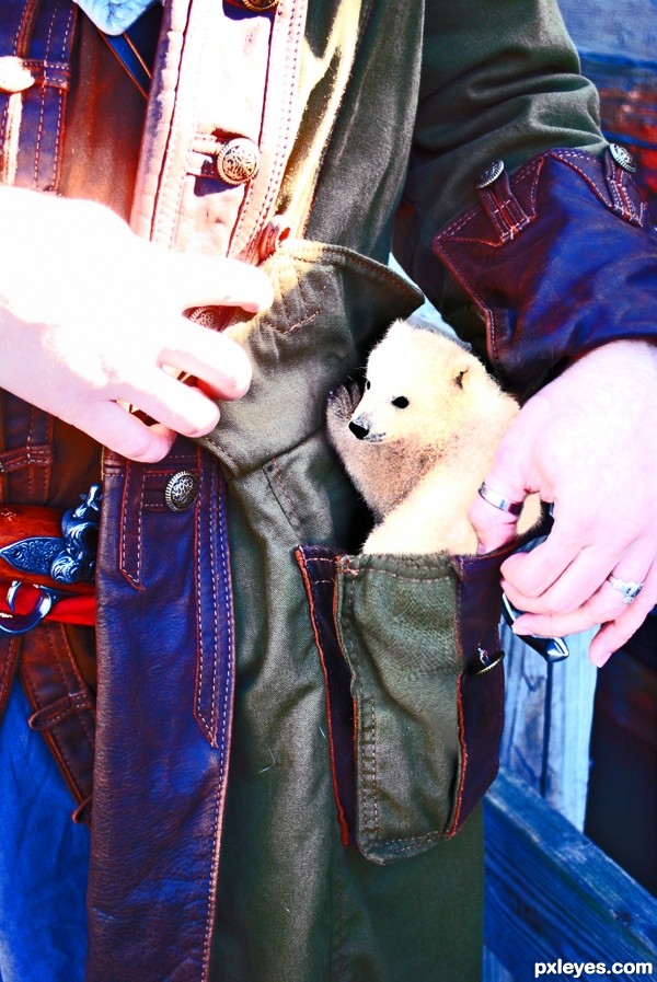 Pocket Sized Polar Bear