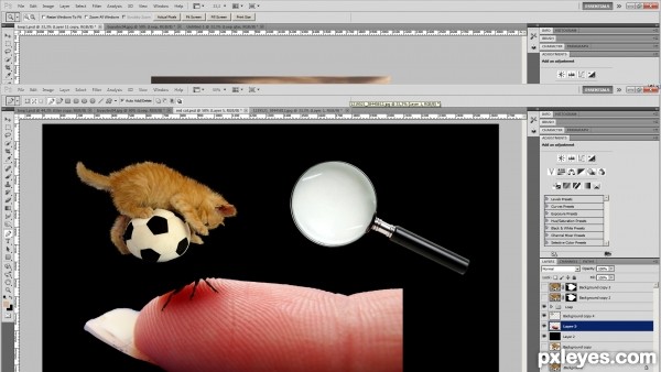 Creation of Playfull kitty: Step 1