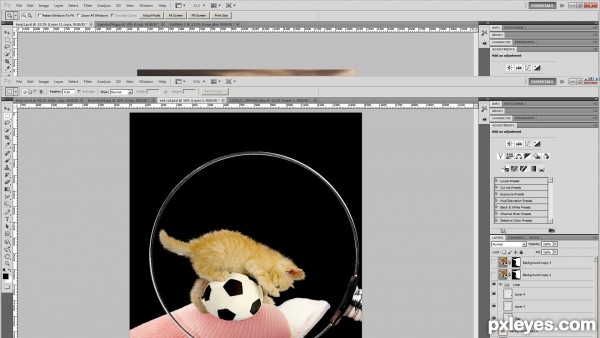Creation of Playfull kitty: Step 3