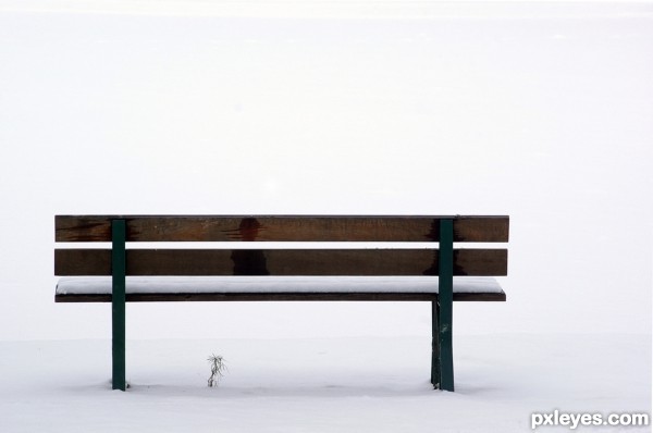 Creation of Bench by the Bench: Step 1