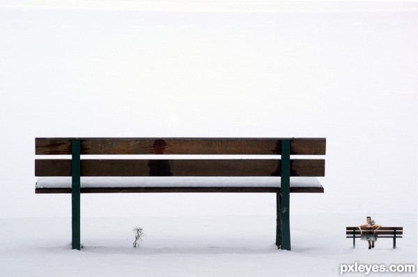 Creation of Bench by the Bench: Step 6