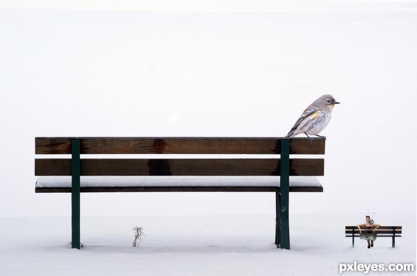 Creation of Bench by the Bench: Step 7