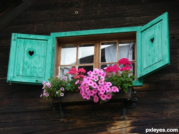 Shutters and flowers