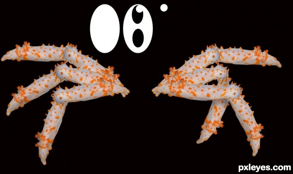 Creation of Spliced Crab Twin: Step 3