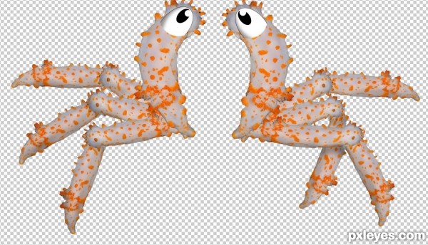 Creation of Spliced Crab Twin: Step 4