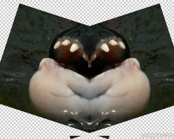 Creation of Spliced Crab Twin: Step 5