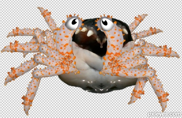 Creation of Spliced Crab Twin: Step 6