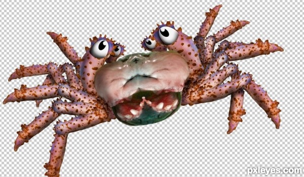 Creation of Spliced Crab Twin: Step 8