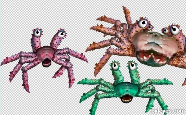 Creation of Spliced Crab Twin: Step 9