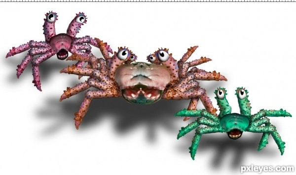Creation of Spliced Crab Twin: Step 10